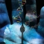 Longevity Genes